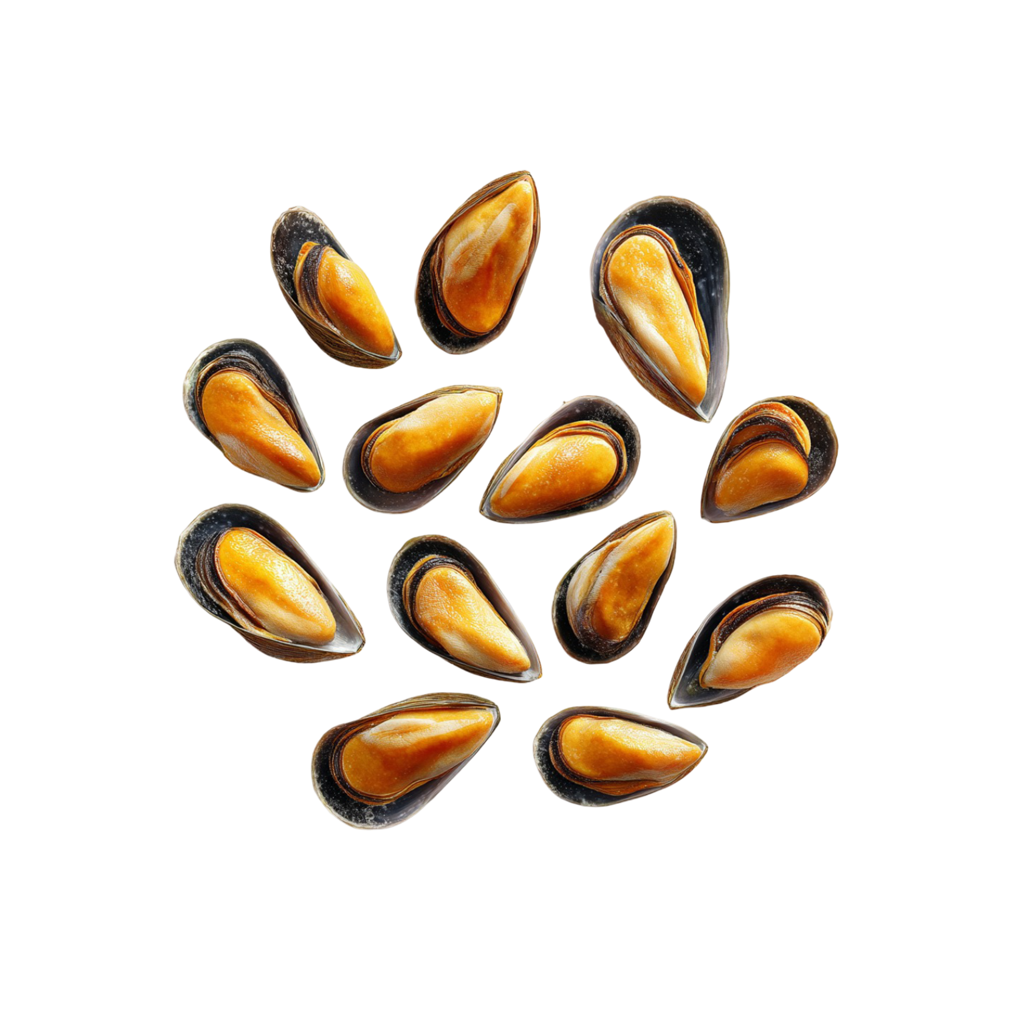 simpukka